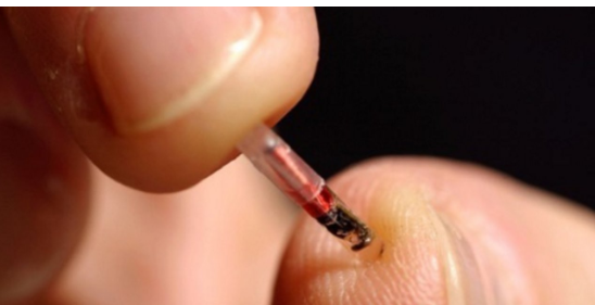 可穿戴設備呈“拉鏈入侵”趨勢,正“由表及里”進軍人體