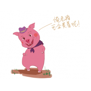 戴上這枚耳標，你就是一只有身份的豬