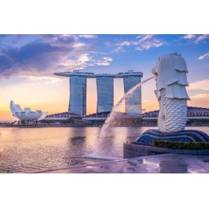 向外看，新加坡RFID產業化經驗帶來怎樣的啟示？